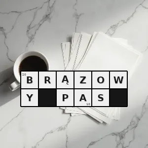 Hasło krzyżówkowe wysoki poziom umiejętności w niektórych sportach walki - brązowy pas – rozwiązanie, synonimy, podpowiedzi i definicje krzyżówkowe